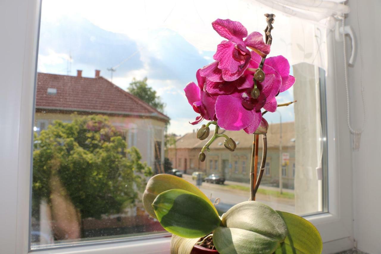 Ferienwohnung Luma 1 Osijek Exterior foto